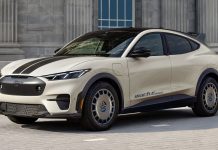 Ford Sets New EV Sales Record Despite Stock Drop