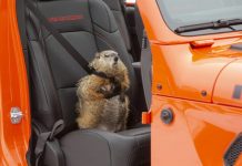 Jeep® Returns to the Super Bowl for 2025