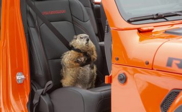 Jeep® Returns to the Super Bowl for 2025